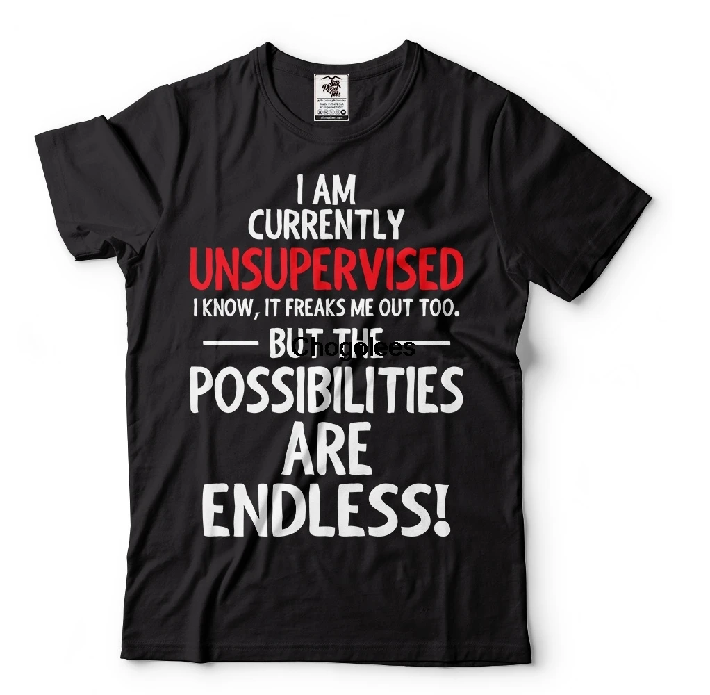 В настоящее время я без взрослых с юмором необычная забавная футболка