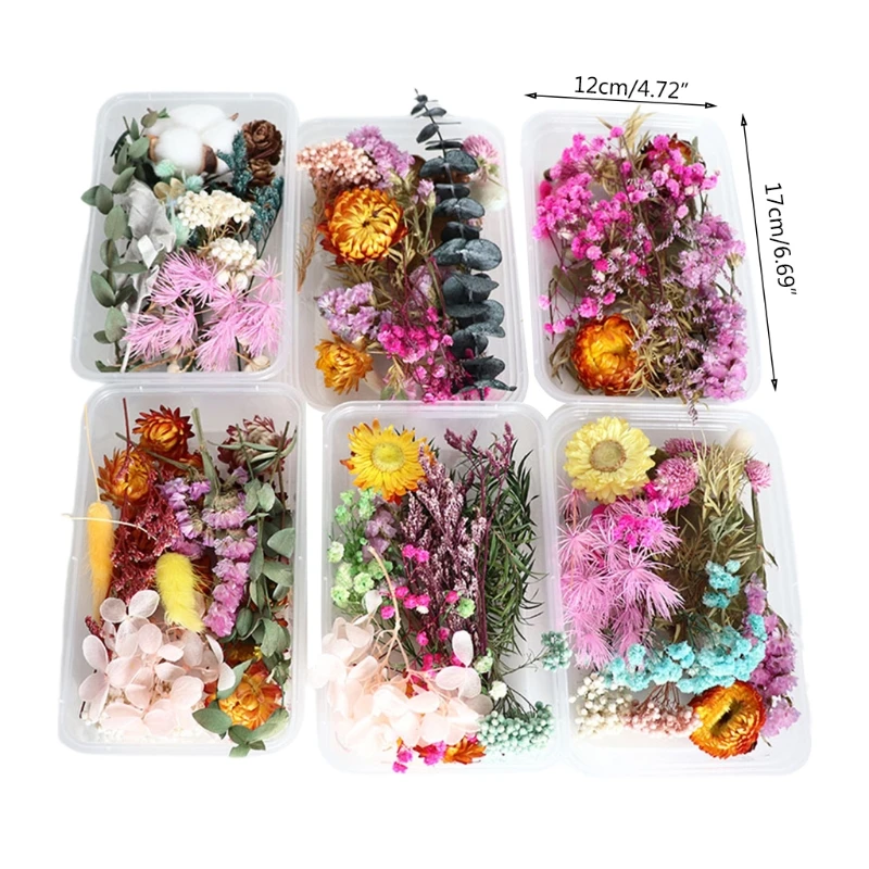 

1 Box Dried Flowers UV Resin Decorative Natural Flower Stickers 3D Dry Beauty Decal Epoxy Mold DIY Filling Making Craft