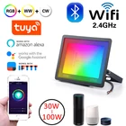 Умный светильник Tuya с поддержкой Wi-Fi и Bluetooth, 3050100 Вт