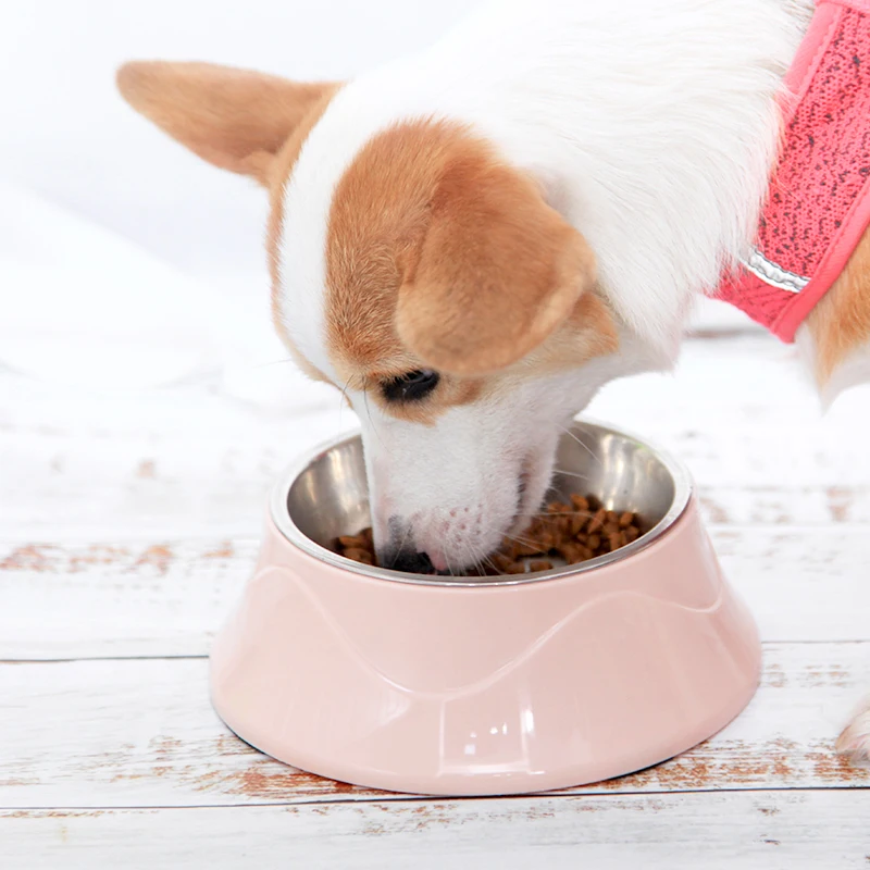 Подставка для собак миска из нержавеющей стали нескользящая дорожная тарелка