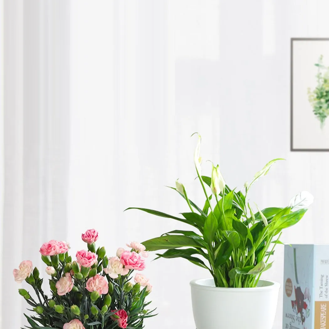 

Decorative Flower Pot Herb Home Office Decor Indoor Outdoor Plant Pots