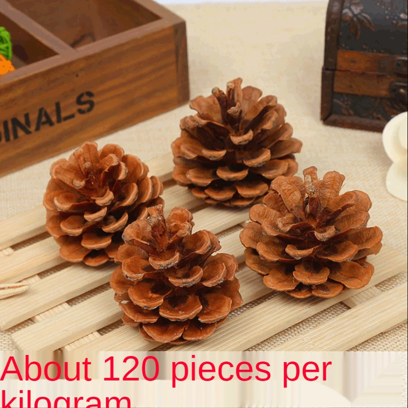 

Pine Cone Dried Flower Dried Fruit Plant Material Creative Decoration Ornament Christmas Pine Cone Pinus Tabulaeformis