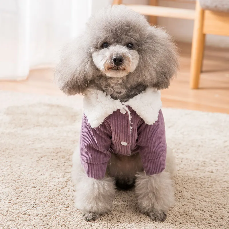Cats Costume Pet Sweater Windproof Warm Fashion Dog Clothes Cat Hoodie Hondenjas Hoopet Supplies JJ60MJ |