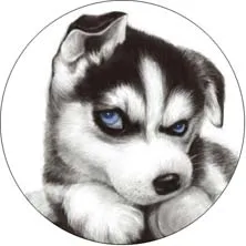 Colour 8 Popsoket мультфильм ручной держатель телефона с кольцом на палец попсокет Складная ручка подставка pipsocket для телефонов и планшетов карманная розетка - Цвет: Colour 8