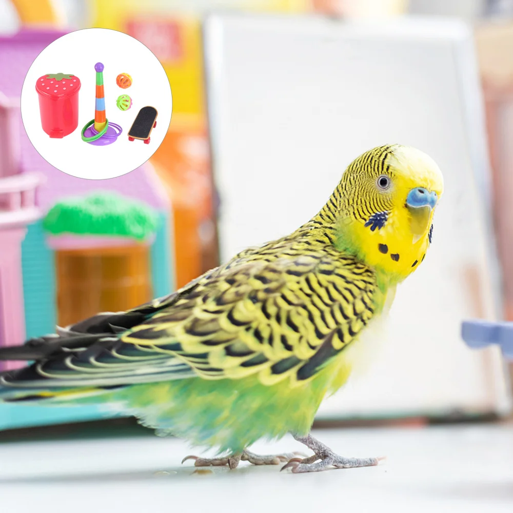 

1 Set of 5PCS Parrot Bird Funny Chew Training (Random Color)