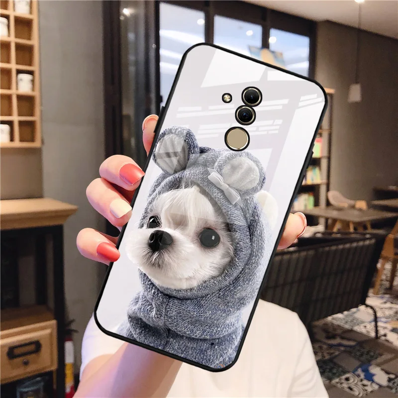 

For Funda Huawei Mate 20 Lite Case Silicone Bumper Tempered Glass Hard Case For Huawei Mate 20 Pro Mate20 Lite Cases Mate20X Bag