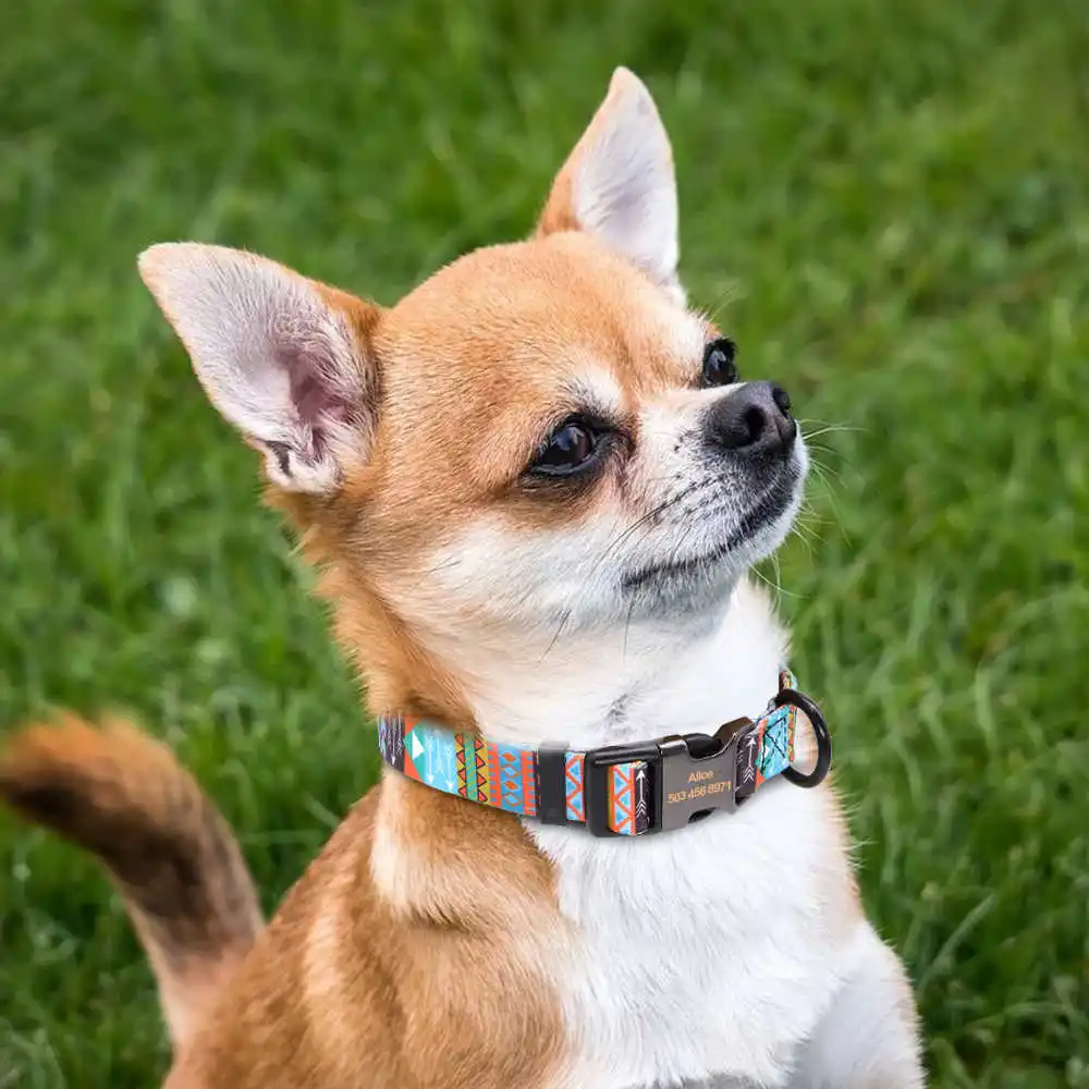 

Nylon Print Dog Collar Personalized Pet Cat ID Tag Collars Custom Engraved Dogs Collars Adjustable For Small Large Dogs Pitbull