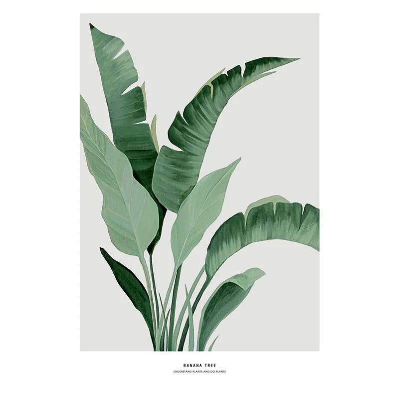 

Painting Canvas Simple Banana Tree Green Leaf Poster Printing Living Room Mural Canvas Wall Art Prints Home Decoration Painting