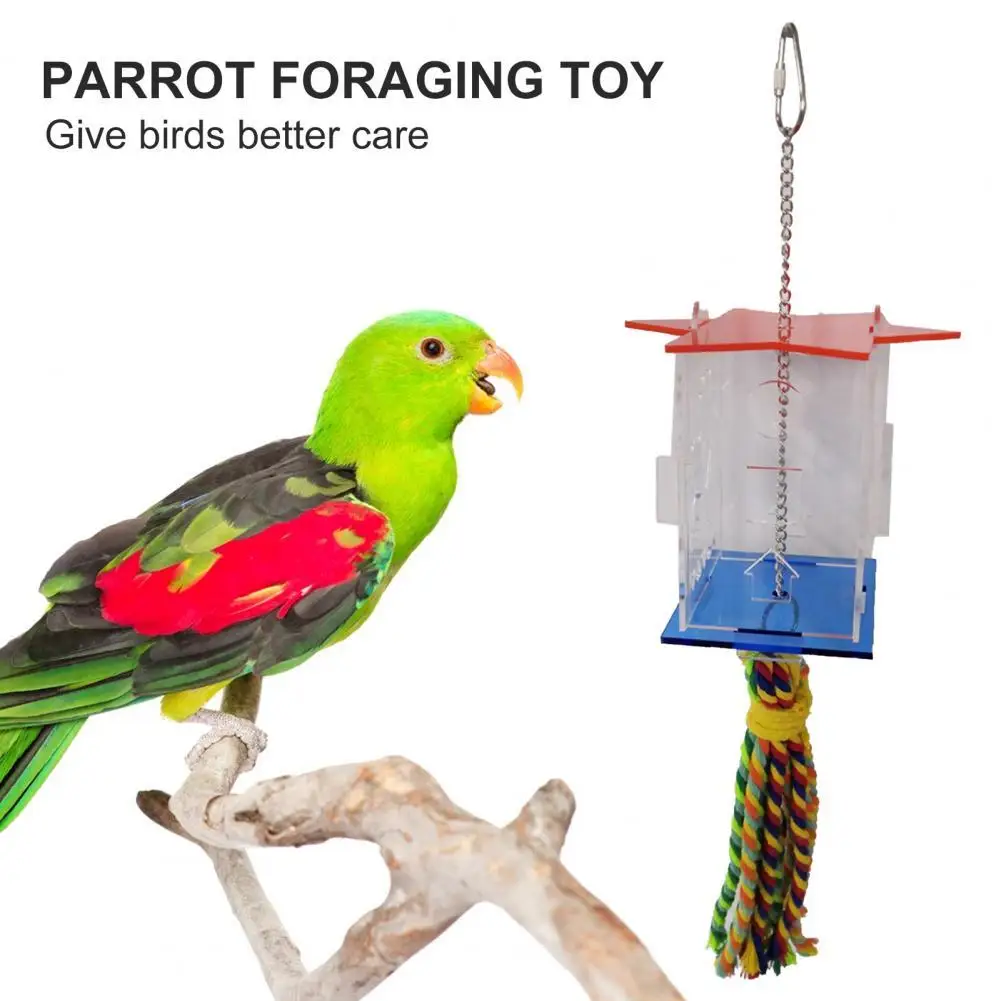 

Practical Parrot Food Feeding Pendant Toy with Tassel Acrylic Bird Foraging Feeder Toy Smooth Edge Pet Supplies