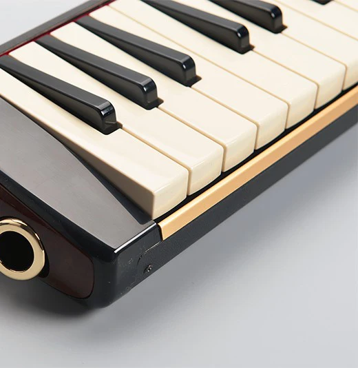 Профессиональный мелодион для SUZUKI 37-клавишный Alto Melodica с чехлом профессиональный