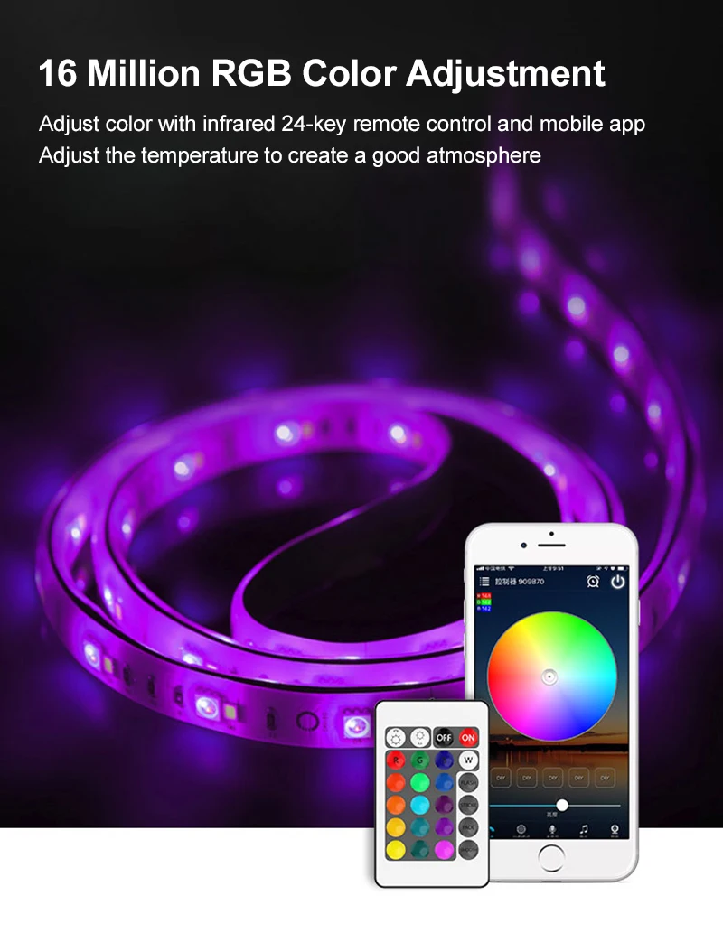

DC12-24V Wifi Smart Controller Colorful 24-key Dual Load RGB Light With Controller ALexa Voice For Alexa Google Home