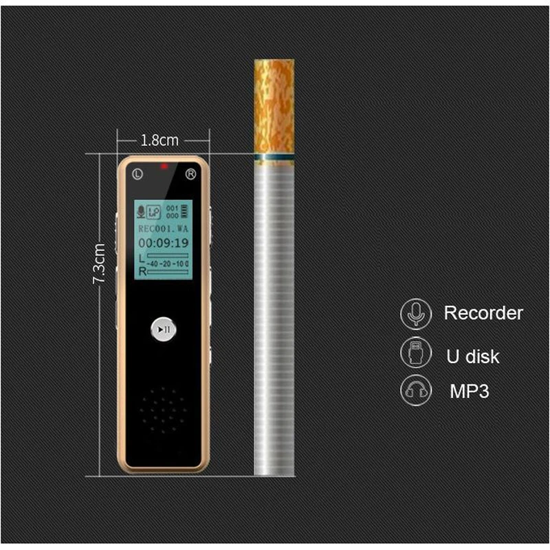 Многофункциональный портативный Перезаряжаемый диктофон с голосовой