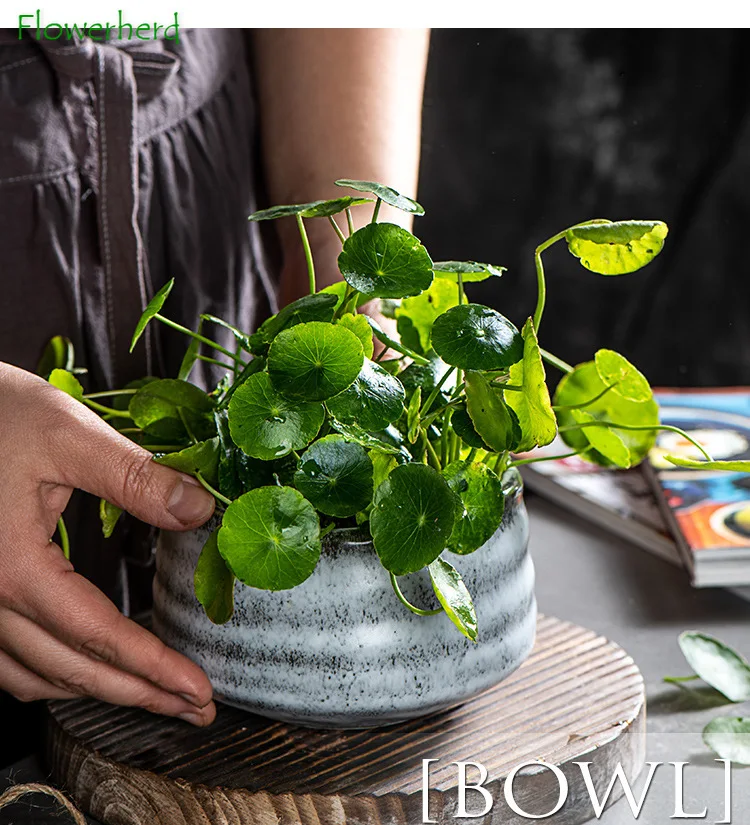 Фарфоровая японская семейная стандартная миска для лапши Салатница необычная