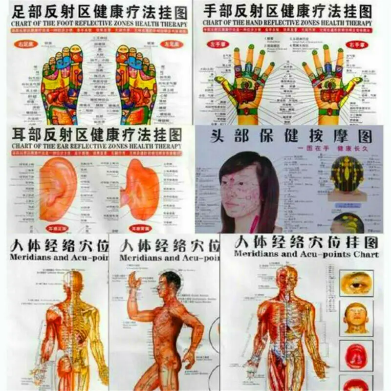 7Pcs/Set English Acupuncture Meridian Acupressure Points Posters Chart Wall Map