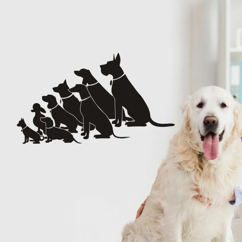 Уход за салонами наклейка для магазина домашних животных плакаты виниловые