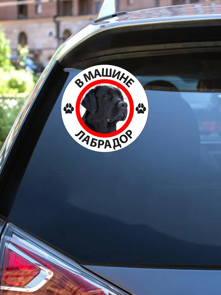 B0266 # Лабрадор в автомобиле самоклеящаяся наклейка автомобильная