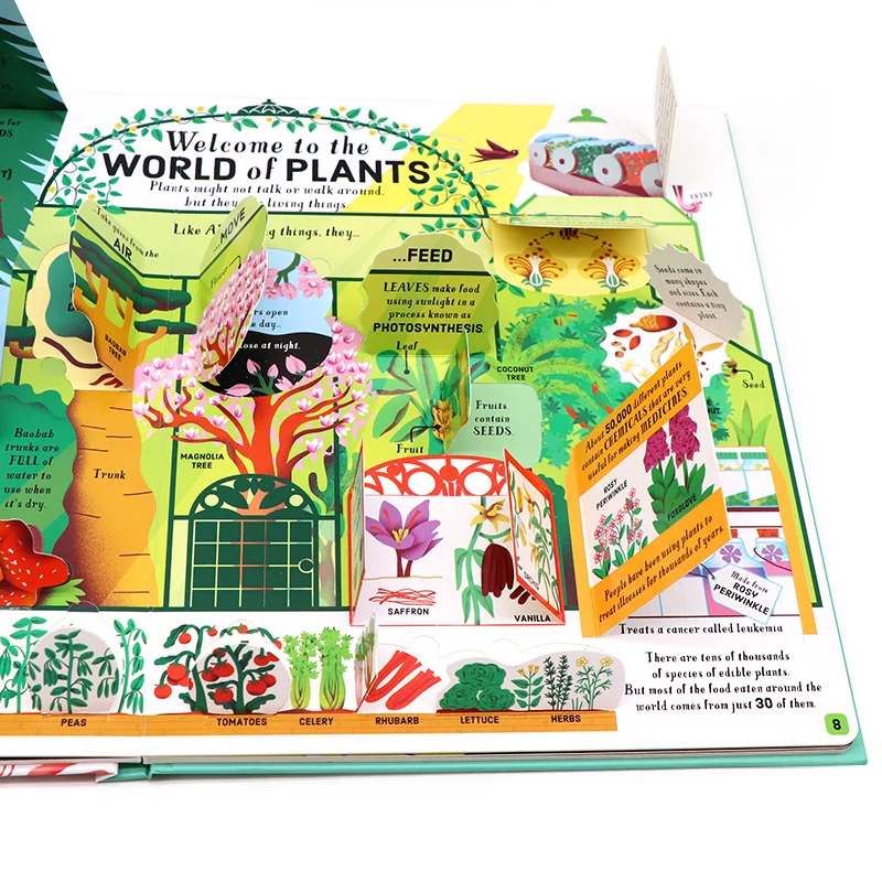 Usborne Liift The Flap BIOLOGY English Educational Picture flap Book Baby Children Learning Board Gift Hardcover | Игрушки и хобби