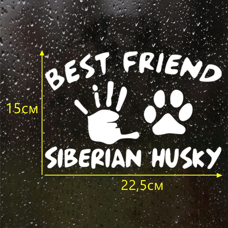 

15*22.5cm Best Friend Siberian Husky Funny Car Sticker Vinyl Decal Silver/black Car Auto Stickers For Car Bumper Window