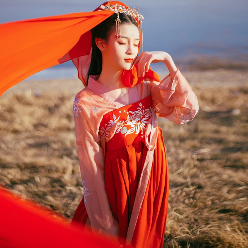 

2021 Hanfu Dress Folk Dance Costume Chinese Traditional National Fairy Costume Ancient Han Dynasty Princess Stage Outfits SL1719