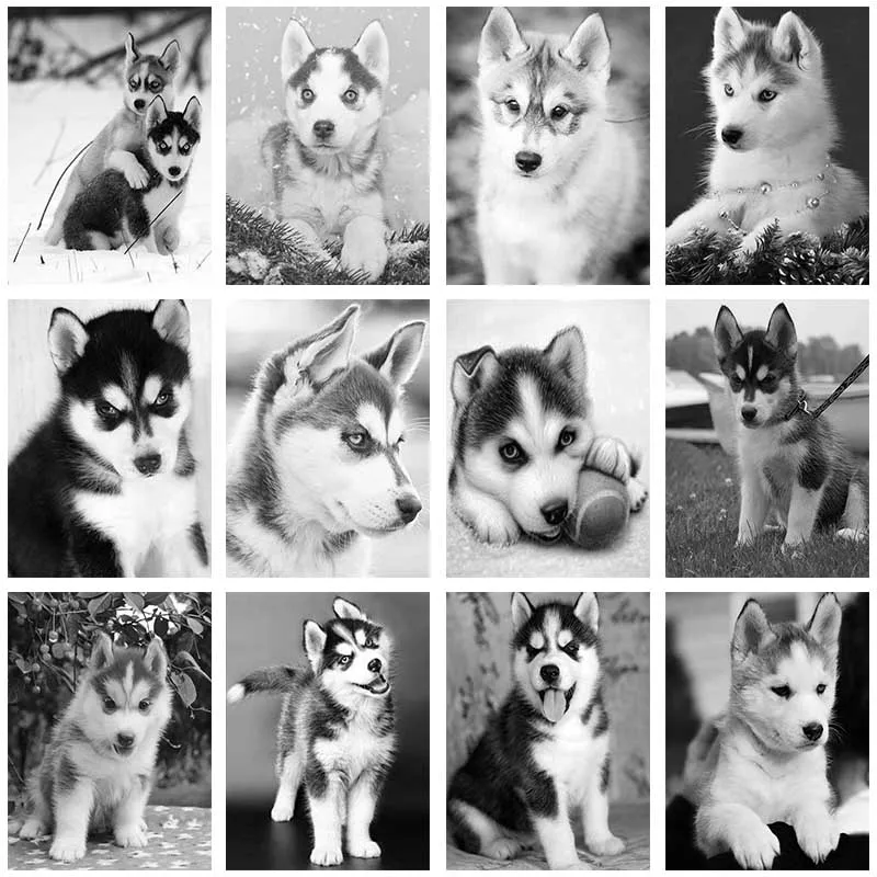 

Puppy Dog DIY Diamond Embroidery Cross Stitch 5D Full Square Round Drill Animal Diamond Painting Room Decor Gift