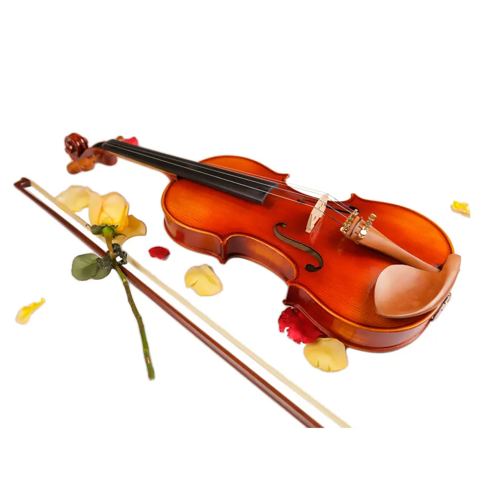 

Natural Stripes Maple Violin Hand-craft Oil Varnish Violino 4/4 Full Size Musical Instrument with Accessories TONGLING Brand