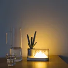 Ночной светильник в скандинавском стиле, светодиодный, с USB-зарядкой, для защиты глаз, освесветильник для комнатных растений, для гостиной, спальни, прикроватная тумбочка