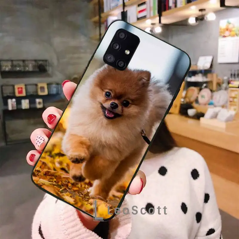 

cute dog Pomeranian Phone Case For Samsung A50 A51 A71 A31 A21S S8 S9 S10 S20 S21 Plus Fe Ultra 4G 5G