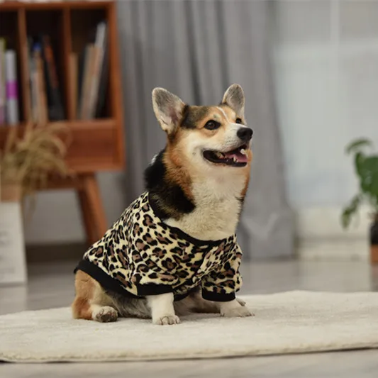 Новый модный осенний комплект с собакой теплая одежда леопардовым принтом