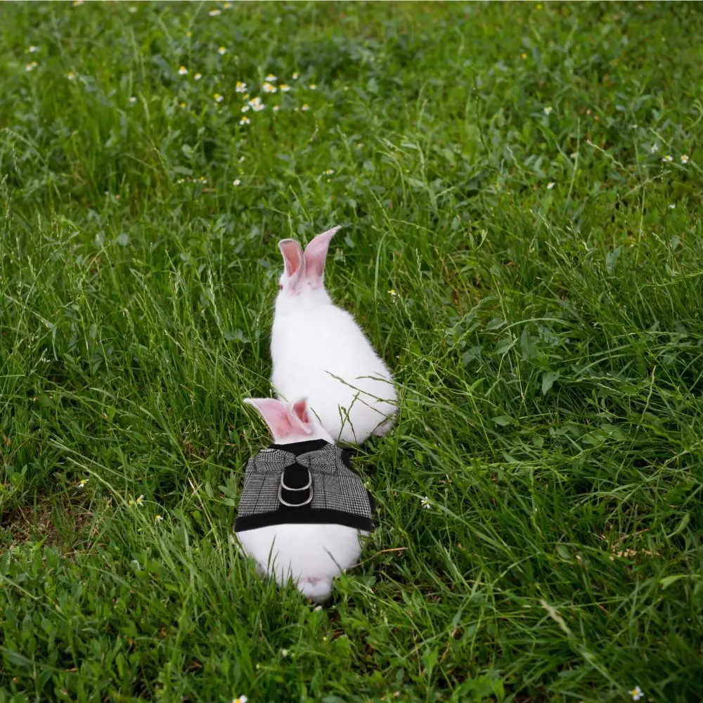 

Lovely Rabbit Bunny Suit Bow Vest Harness with Leash for Outdoor Walking