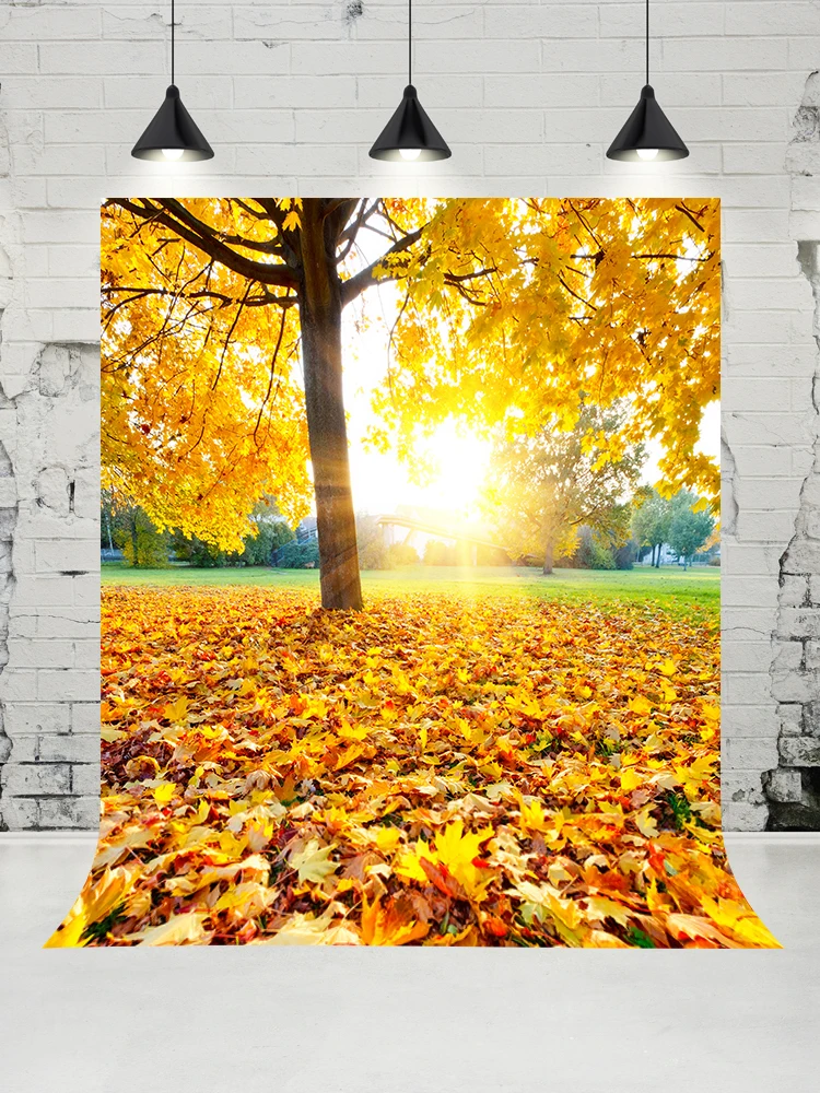 

VinylBDS Autumn Sunny Photography Backdrop Maple Leaf Photo Studio Newborn Baby Background for Outdoor Romantic Wedding Props