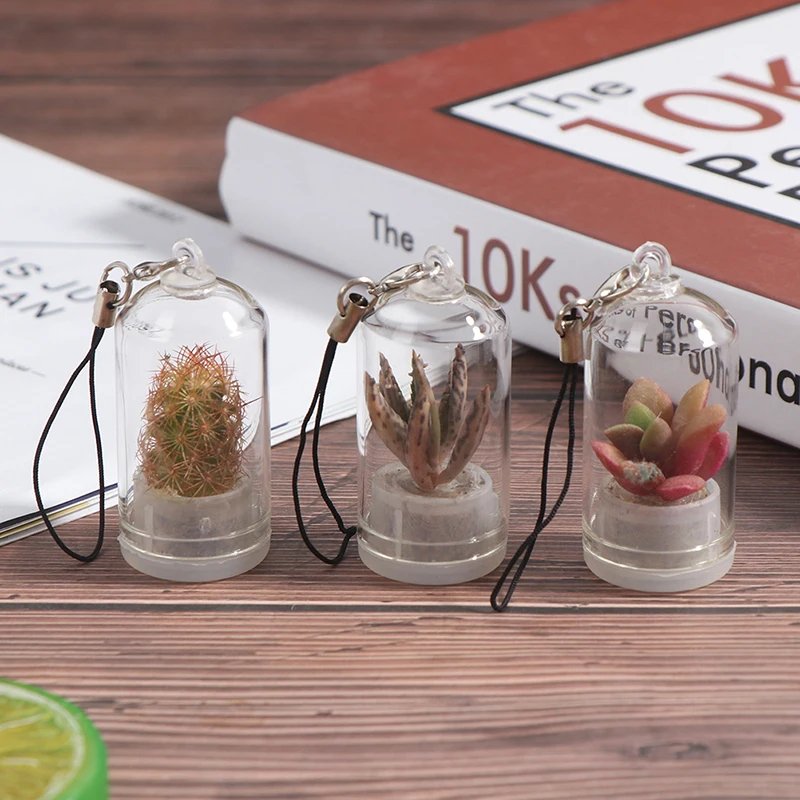 

Подвеска «сделай сам» для суккулента, миниатюрный кактус, Террариум, живой, случайный стиль, домашний декор, 2,5*5 см