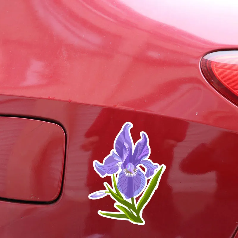 EBdecal E Ирисы цветы фиолетовая наклейка для Авто/бампер/окно/наклейка на стену