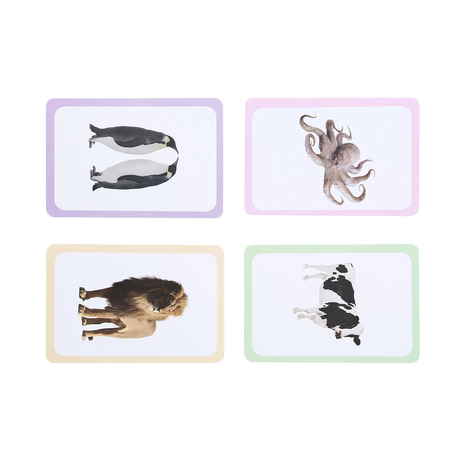 

36PCS Baby Cognitive Puzzle Cards Educational Toys Matching Game Cartoon Vehicle Animal Fruit Learning flashCards for Children