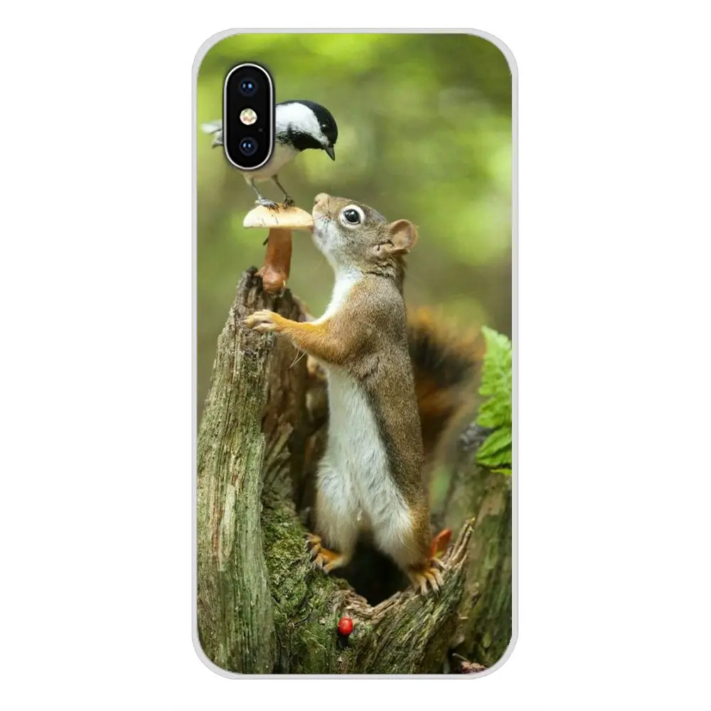 For LG G3 G4 Mini G5 G6 G7 Q6 Q7 Q8 Q9 V10 V20 V30 X Power 2 3 K10 K4 K8 2017 Case Cover squirrel Guinea Pig Mouse peanut greedy | Мобильные