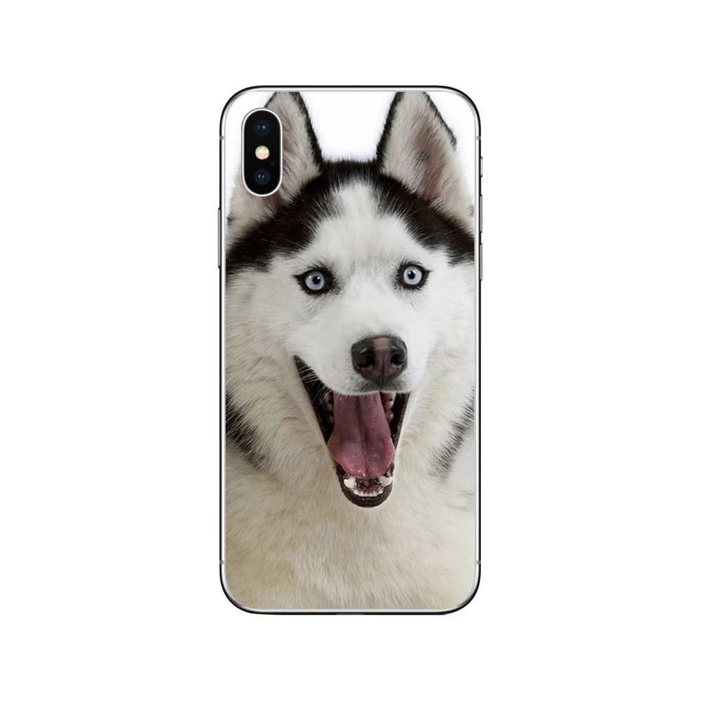 

ciciber Husky Dog For iphone 11 Pro Max Cover For iPhone 8 7 6 6S Plus X XR XS Max 5 5S SE Phone Case Soft Silicone Shell Coque