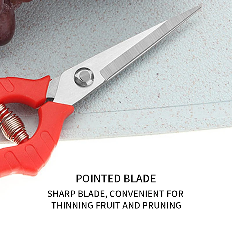 Прямые лезвия Обрезной инструмент для садоводства и ножницы ножничный секатор