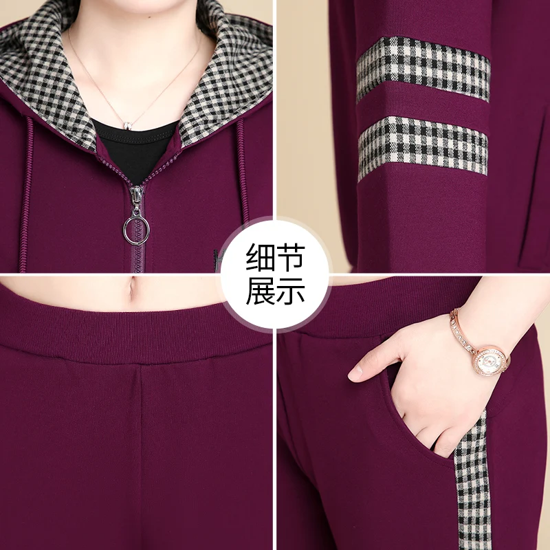 

Women Elegant Solid Two-Piece Sweatsuit Autumn Spring New Casual Loose Hooded Tops And Elastic Waist Pant Fashion Streetwear Set