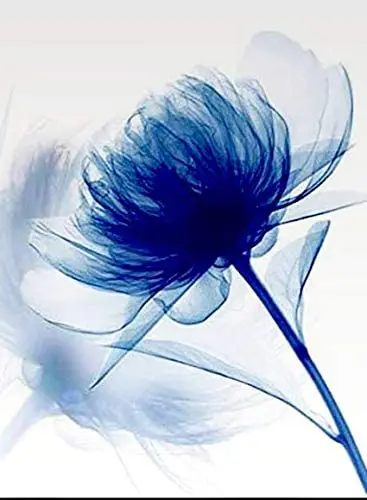 

Flower Wall Art for s Metal Sign Home Bar Garden Restaurant Wall Decor Flower 8x12 inches¡­
