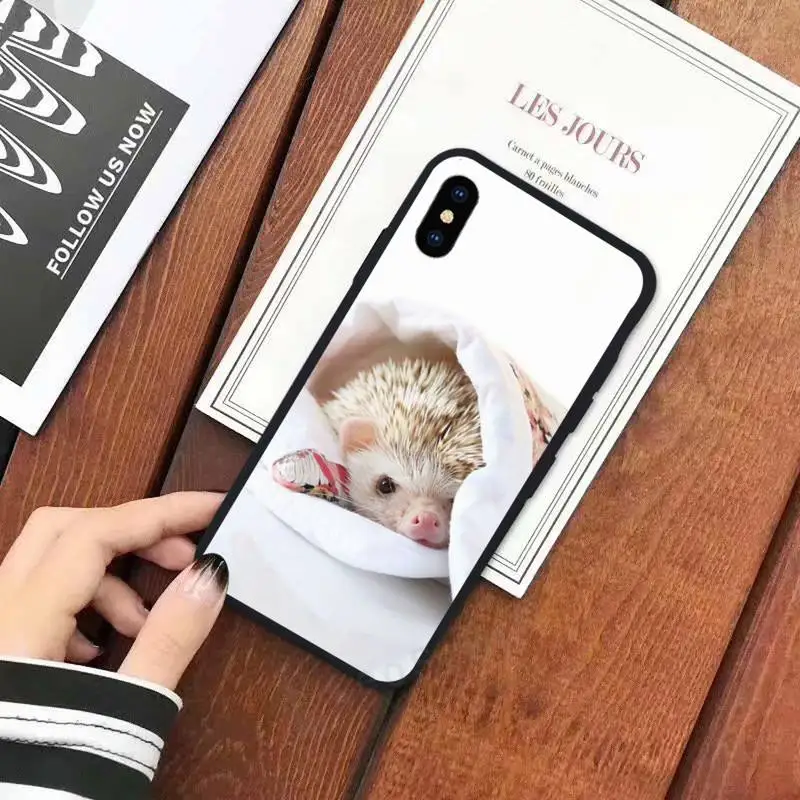 

Hedgehog cute animal Phone Case for iPhone 11 12 mini pro XS MAX 8 7 6 6S Plus X 5S SE 2020 XR
