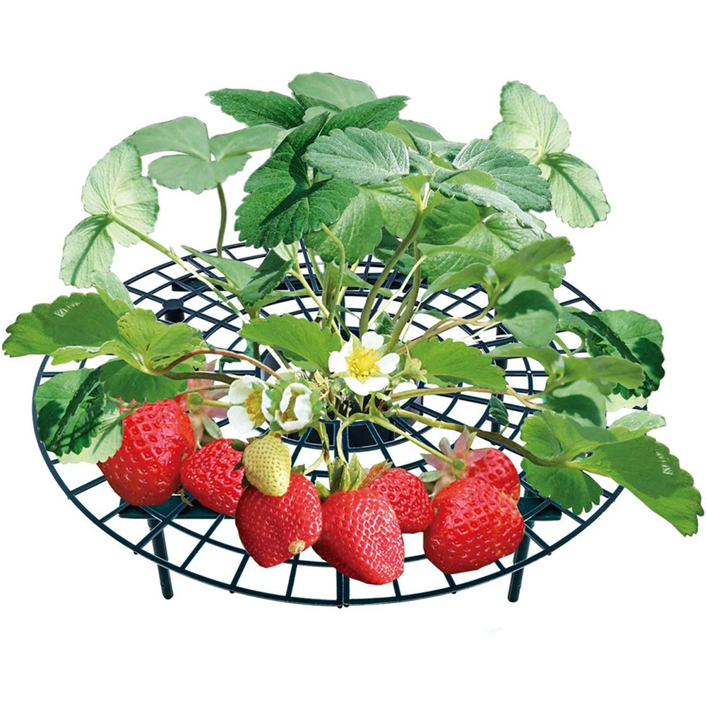 

9.5cm Height Strawberry Stand Plastic Movable Stand Anti- Mildew Plant Climbing Vine Prop Horticultural Supplies