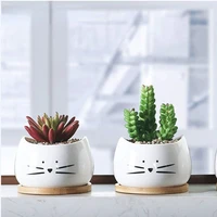 cute cat face succulent flower pot with bamboo tray gardening pots for flowers white ceramic planter pot creative small pots