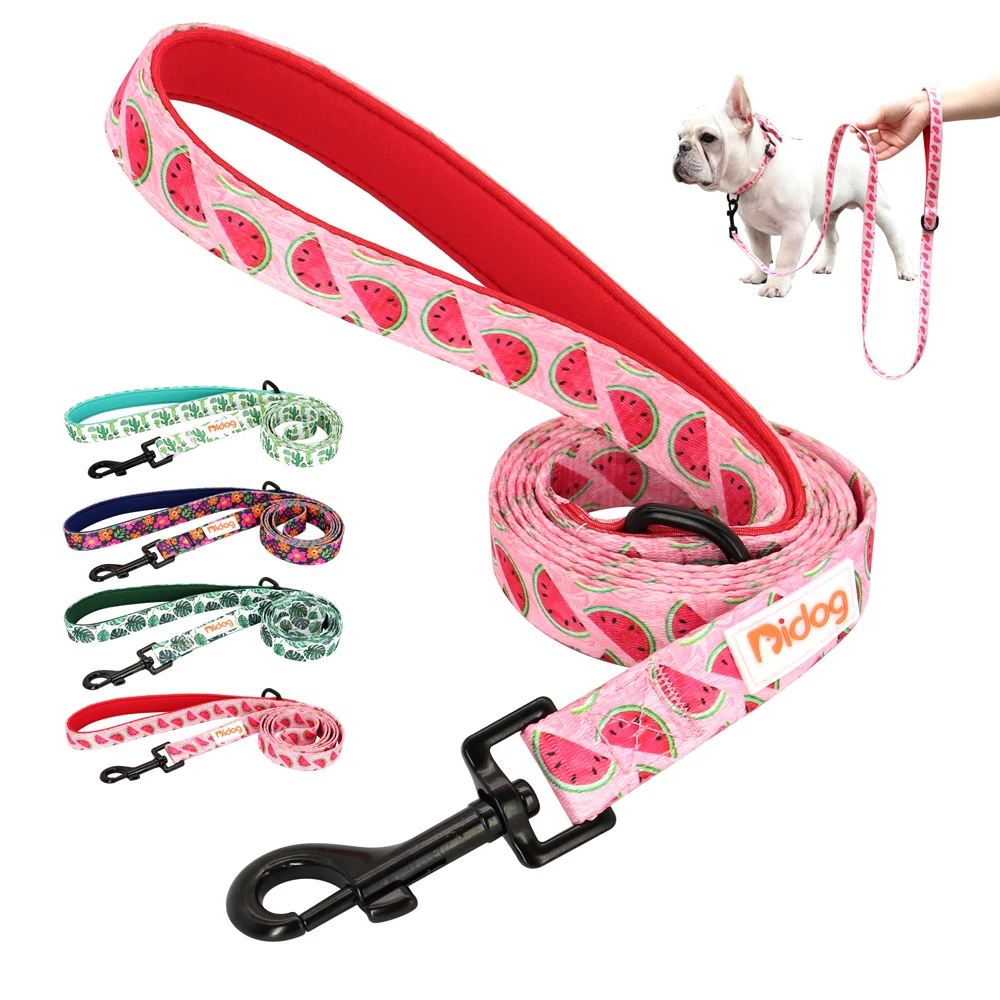 

5ft Fashion Nylon Dog Leash Printed Dogs Leashes For Small Medium Large Dogs Soft Padded Pet Walking Lead Rope Chihuahua Pitbull