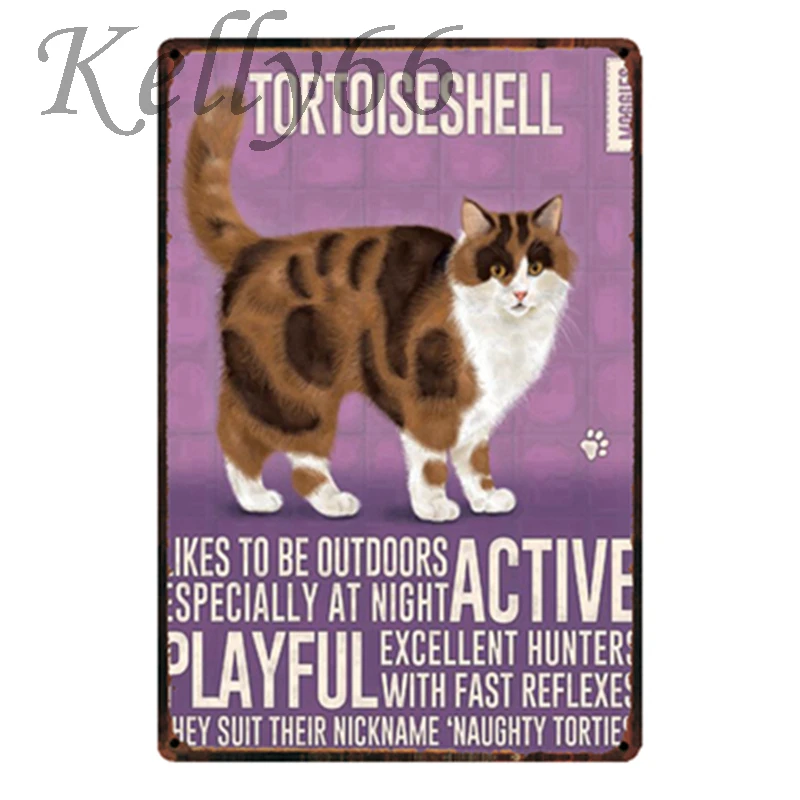 [Kelly66] домашние кошки Ragdoll синий сиамский табби имбирь металлический знак Олово плакат домашний Декор Бар настенная живопись 20*30 см размер Dy32 - Цвет: y-1789