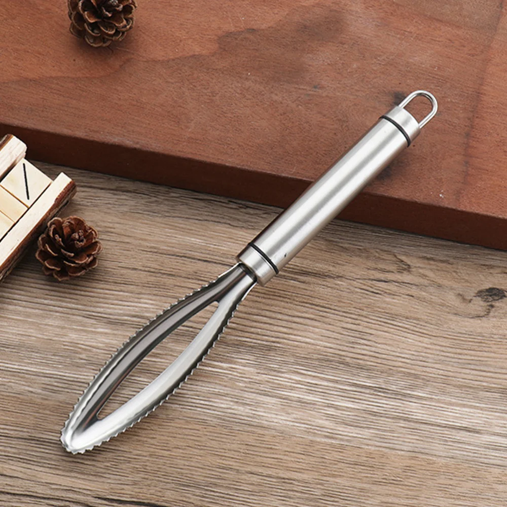 

3 Pcs Stainless Steel Fish Scale Scraper Fish Scale Remover Fish Scraper