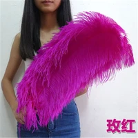 the new 50pcslot high quality ostrich feathers accessories 26 28 inches65 70cm christmas feathers party diy carnival wedding