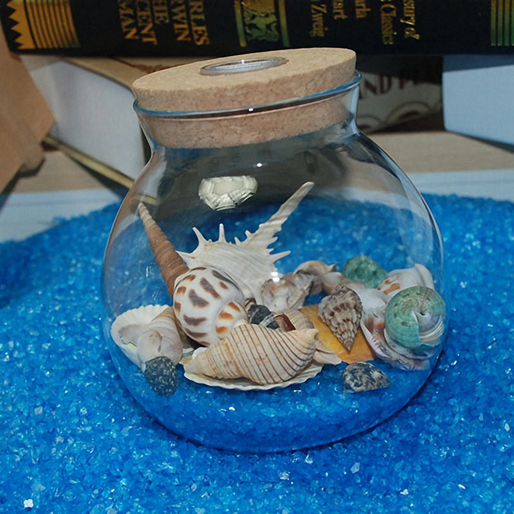 

Natural Conch Shells Mini Seashells Ornament DIY Craft Aquarium Landscape Fish Tank Ornament Fairy Garden Decoration Accessories