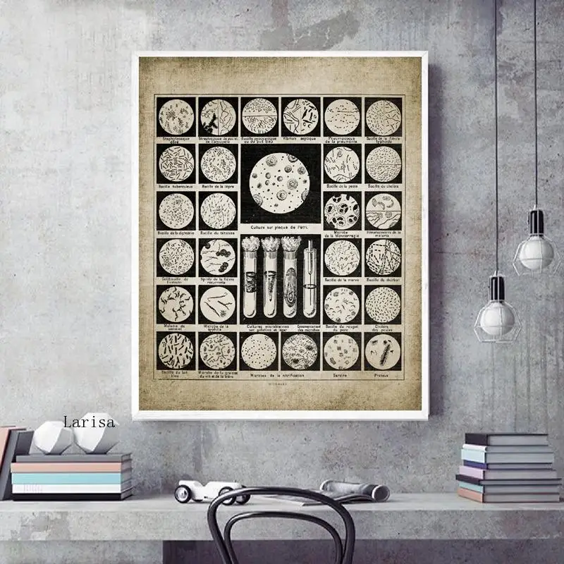 

Bacteria Microbes Poster Vintage Prints Bacteria Biology Wall Art Canvas Painting Student Gift Science Laboratory Decoration