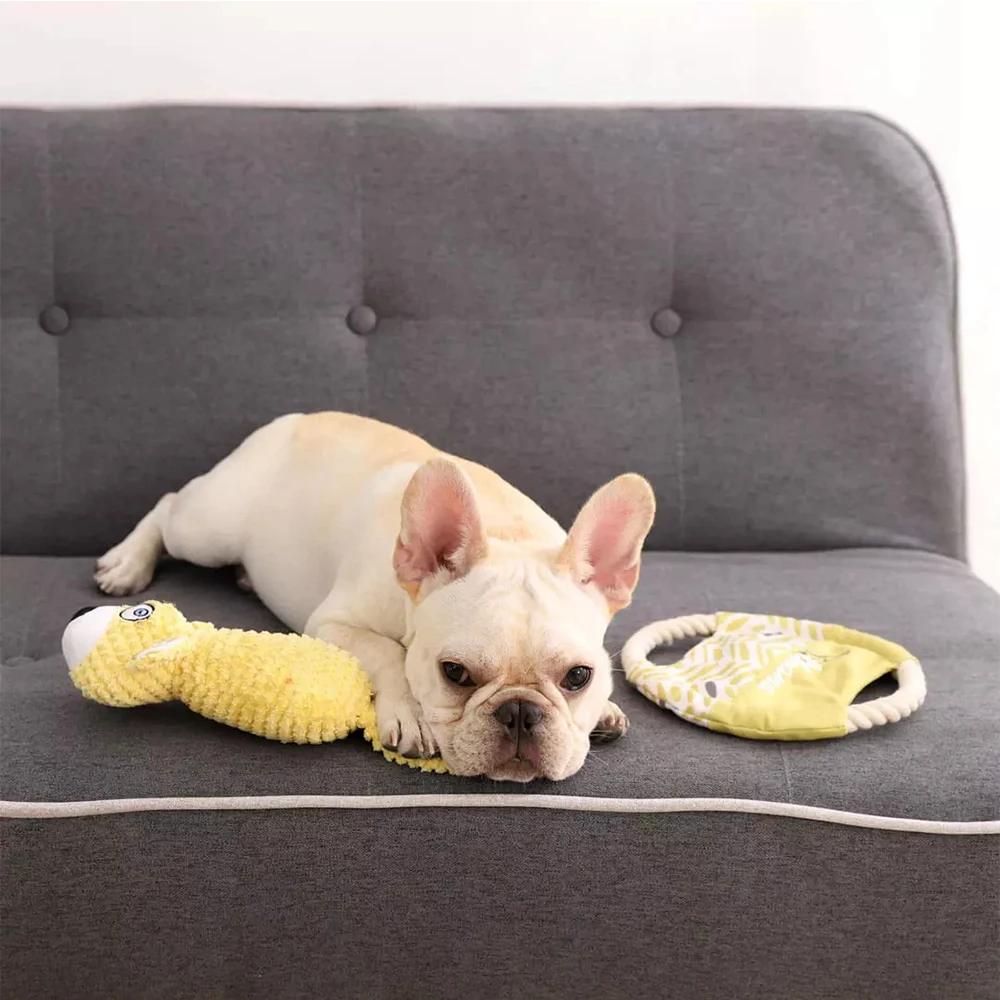 

Dog Fun Toy Cotton Rope Interactive Flying Saucer Toy Interactive Toys Teething Clean For Dog Cute Chewing Pets Supplies