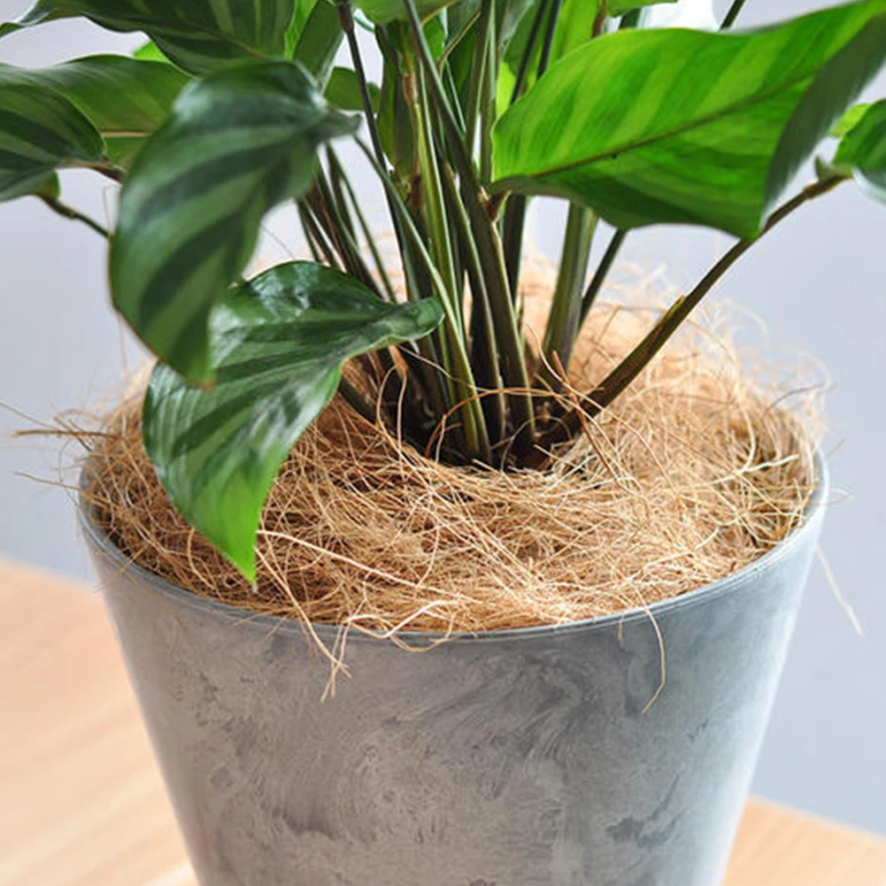 Small Pet Easy Apply Home Root Growth Sterilized Bird Nests Coconut Fiber Practical Bonsai Good Permeability Garden Soil Coir