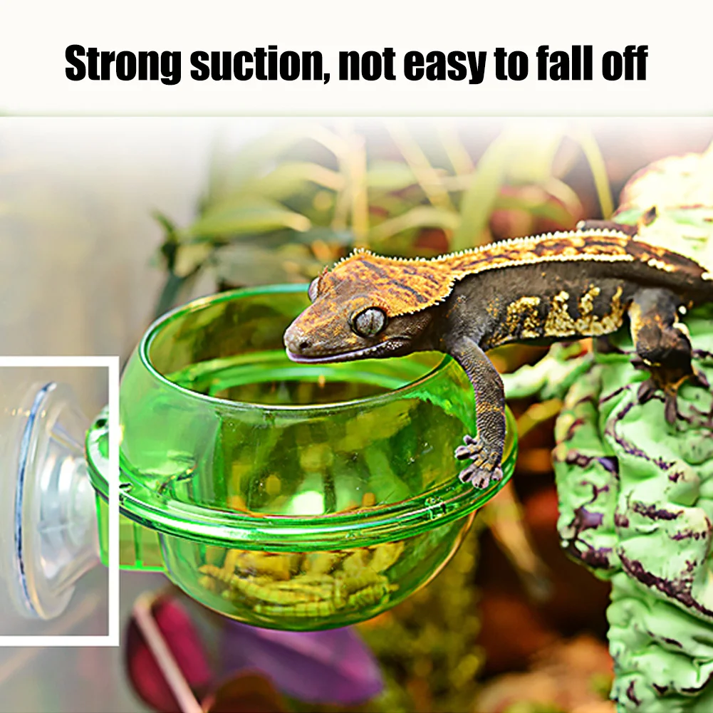 Кормушка для домашних животных прочный рептилий всасывания кормушка чашка чаша